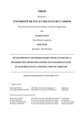 Université De Pau Et Des Pays De L'adour Pour M’Avoir Confié Ce Travail De Recherche Et Pour Ses Précieux Conseils Au Cours De Ces Trois Années