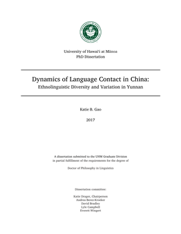 Dynamics of Language Contact in China: Ethnolinguistic Diversity and Variation in Yunnan