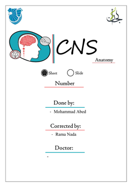 Lateral Corticospinal Tract