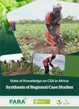 Synthesis of Regional Case Studies