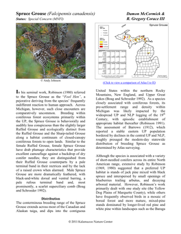 Spruce Grouse (Falcipennis Canadensis) Damon Mccormick & Status: Special Concern (MNFI) R