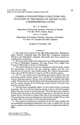 Correlations Between Structure and Function in the Design of the Bat Lung: a Morphometric Study Byj