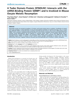 A Tudor Domain Protein SPINDLIN1 Interacts with the Mrna-Binding Protein SERBP1 and Is Involved in Mouse Oocyte Meiotic Resumption