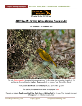 AUSTRALIA Birding with a Camera Custom Tour Nov-Dec 2018