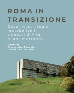 ROMA in TRANSIZIONE Governo, Strategie, Metabolismi E Quadri Di Vita Di Una Metropoli a Cura Di Alessandro Coppola Gabriella Punziano