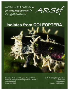 Isolates from COLEOPTERA