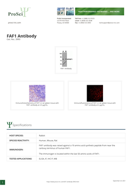 FAF1 Antibody Cat