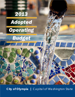 2013 Adopted Operating Budget