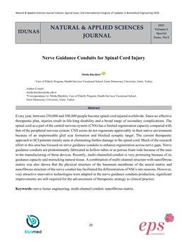 Nerve Guidance Conduits for Spinal Cord Injury