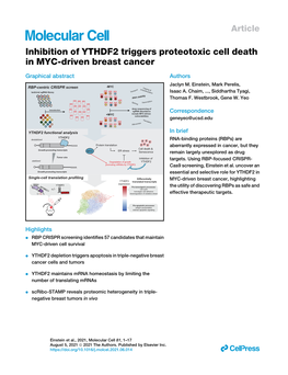 Inhibition of YTHDF2 Triggers Proteotoxic Cell Death in MYC-Driven Breast Cancer