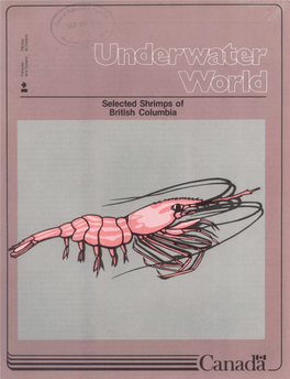 Canacra I � Underwater World 2