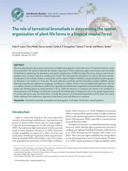 The Role of Terrestrial Bromeliads in Determining the Spatial Organization of Plant Life Forms in a Tropical Coastal Forest