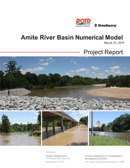 Amite River Basin Numerical Model Project Report