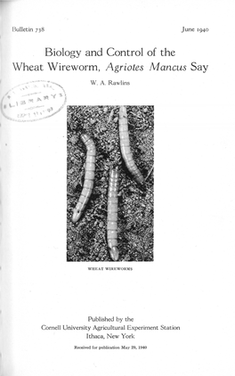 Biology and Control of the Wheat Wireworm, Agriotes Mancus Say
