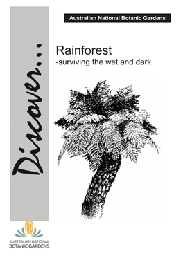 Rainforest -Surviving the Wet and Dark