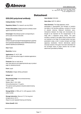GOLGA3 Polyclonal Antibody Gene Symbol: GOLGA3