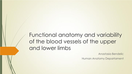 Functional Anatomy and Variability of the Blood Vessels of Lower Limb