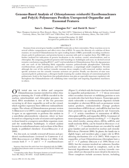 Genome-Based Analysis of Chlamydomonas Reinhardtii Exoribonucleases and Poly(A) Polymerases Predicts Unexpected Organellar and Exosomal Features