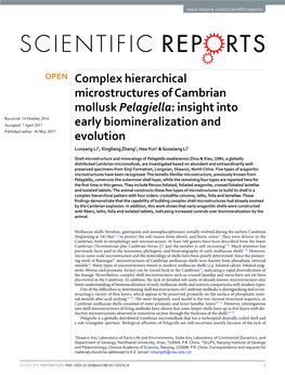 Complex Hierarchical Microstructures of Cambrian Mollusk Pelagiella