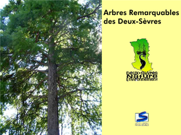 Arbres Remarquables Des Deux-Sèvres Arbres Remarquables Des Deux-Sèvres