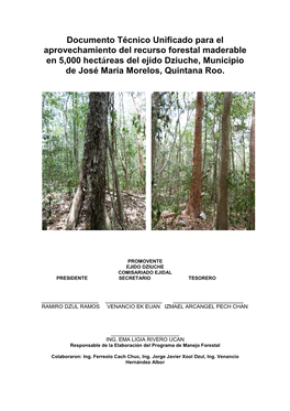 Documento Técnico Unificado Para El Aprovechamiento Del Recurso Forestal Maderable En 5,000 Hectáreas Del Ejido Dziuche, Municipio De José María Morelos, Quintana Roo