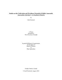 Studies on the Cultivation and Weediness Potential of Edible Amaranth, Amaranthus Hybridus L