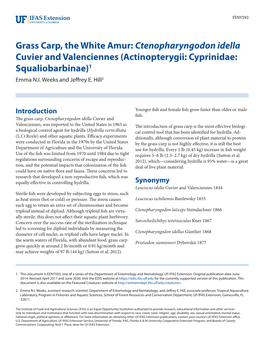 Grass Carp, the White Amur: Ctenopharyngodon Idella Cuvier and Valenciennes (Actinopterygii: Cyprinidae: Squaliobarbinae)1 Emma N.I