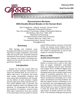 Neuroscience Reviews: DNA Double-Strand Breaks in the Human Brain