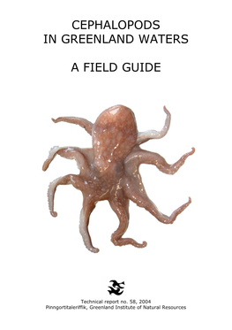 Cephalopods in Greenland Waters a Field Guide