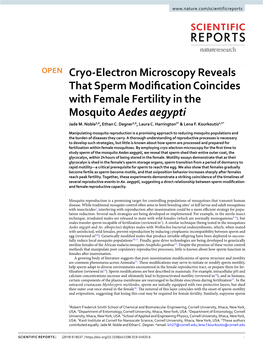 Cryo-Electron Microscopy Reveals That Sperm Modification Coincides with Female Fertility in the Mosquito Aedes Aegypti