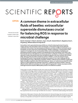 Extracellular Superoxide Dismutases Crucial for Balancing ROS in Response to Microbial Challenge