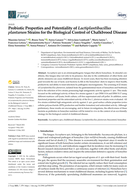 Probiotic Properties and Potentiality of Lactiplantibacillus Plantarum Strains for the Biological Control of Chalkbrood Disease