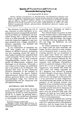 Species of Phytophthora and Pythium As Nematode-Destroying Fungi S