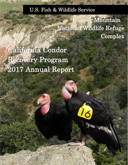 2017 California Condor Annual Report