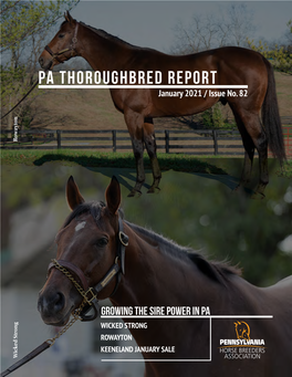 PA THOROUGHBRED REPORT January 2021 / Issue No