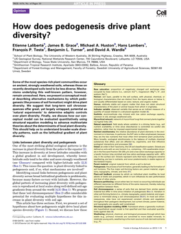 How Does Pedogenesis Drive Plant Diversity?