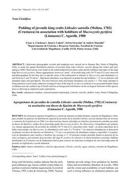 Podding of Juvenile King Crabs Lithodes Santolla (Molina, 1782) (Crustacea) in Association with Holdfasts of Macrocystis Pyrifera (Linnaeus) C