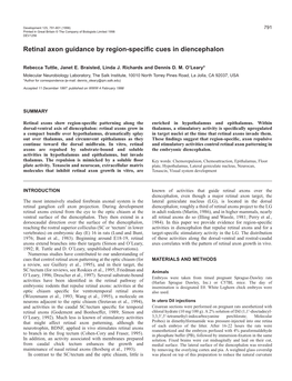 Retinal Axon Guidance by Region-Specific Cues in Diencephalon