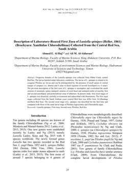 Brachyura: Xanthidae Chlorodiellinae) Collected from the Central Red Sea, Saudi Arabia Ahmed E