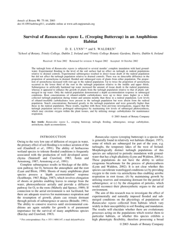 Survival of Ranunculus Repens L. (Creeping Buttercup) in an Amphibious Habitat