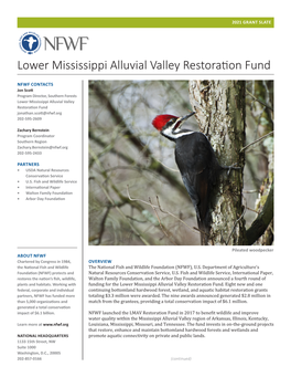 Lower Mississippi Alluvial Valley Restoration Fund