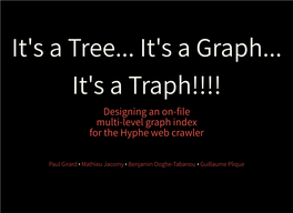 It's a Tree... It's a Graph... It's a Traph!!!! Designing an On-�Le Multi-Level Graph Index for the Hyphe Web Crawler