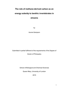 The Role of Methane-Derived Carbon As an Energy Subsidy to Benthic