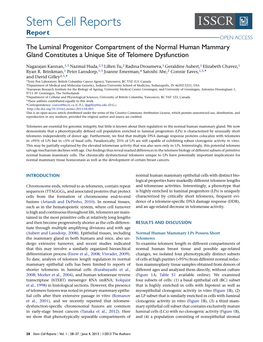 The Luminal Progenitor Compartment of the Normal Human Mammary Gland Constitutes a Unique Site of Telomere Dysfunction