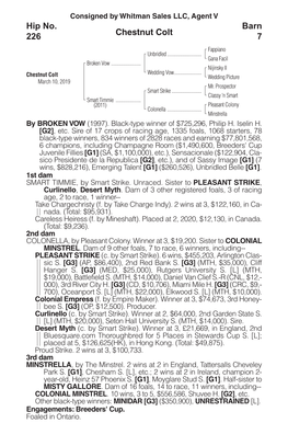 Chestnut Colt Barn 7 Hip No