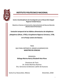 Instituto Politecnico Nacional