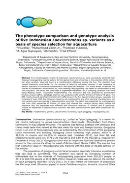 The Phenotype Comparison and Genotype Analysis of Five Indonesian Laevistrombus Sp