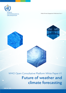 White Paper on the Future of Weather and Climate Forecasting