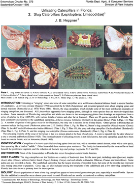 2. Slug Caterpillars (Lepidoptera: Limacodidae)1 J