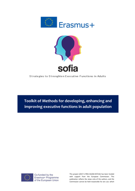 Toolkit of Methods for Developing, Enhancing and Improving Executive Functions in Adult Population